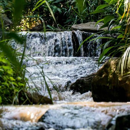 Africa'S Eden Guesthouse Pietermaritzburg Buitenkant foto